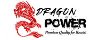 Dragon Power Labs